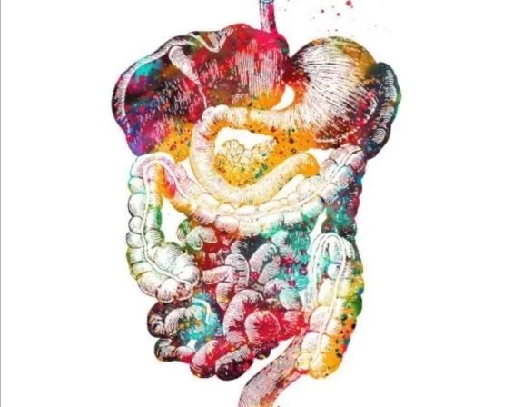 [Анна Тищенко] Здоровый ЖКТ (2021)_0.jpg